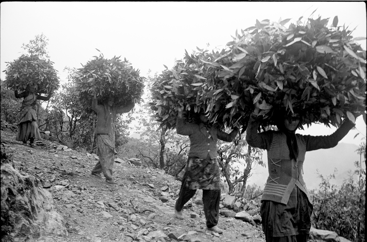 india_mountain_people>
														<!--div class=