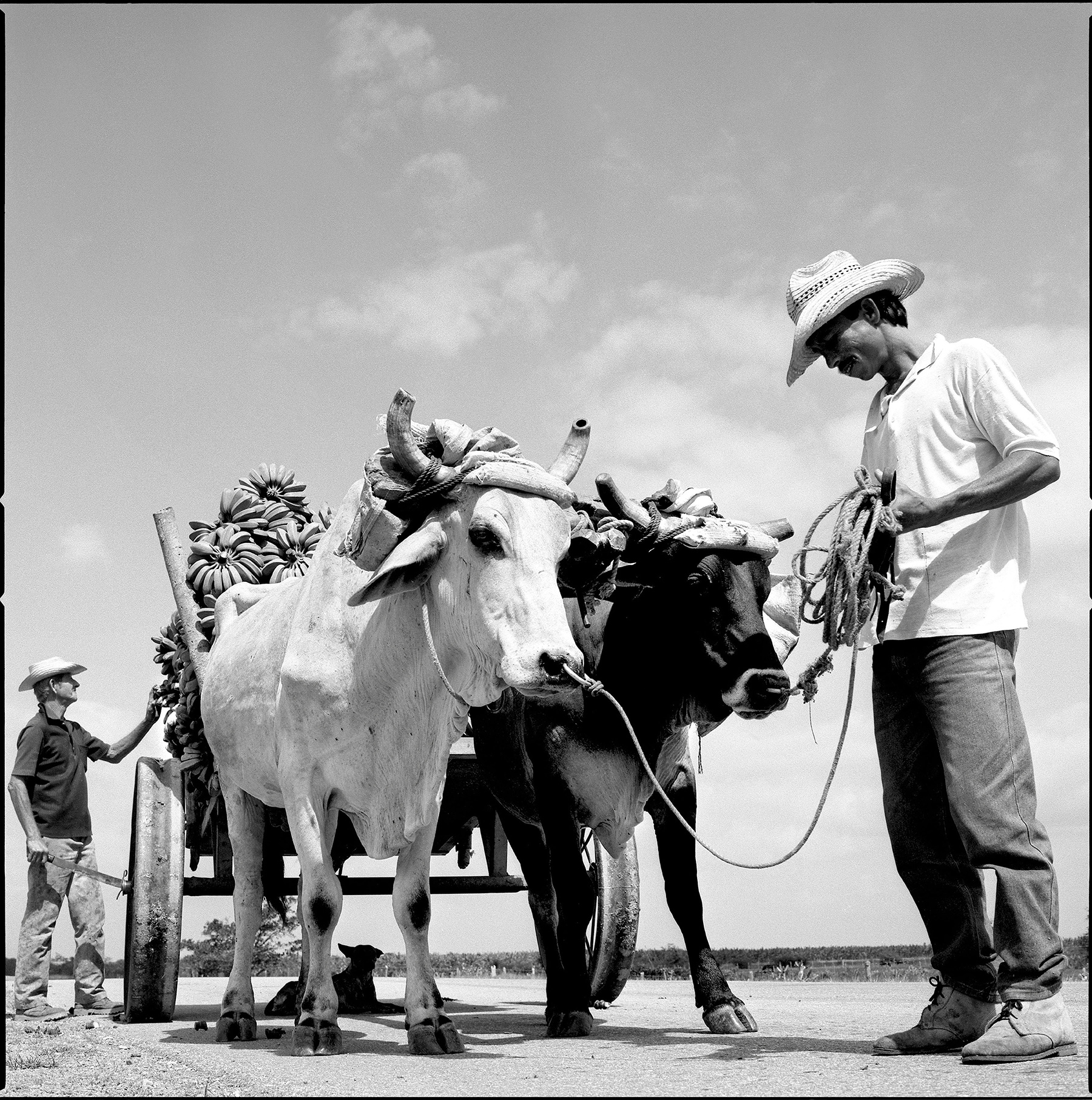 Cuba>
														<!--div class=