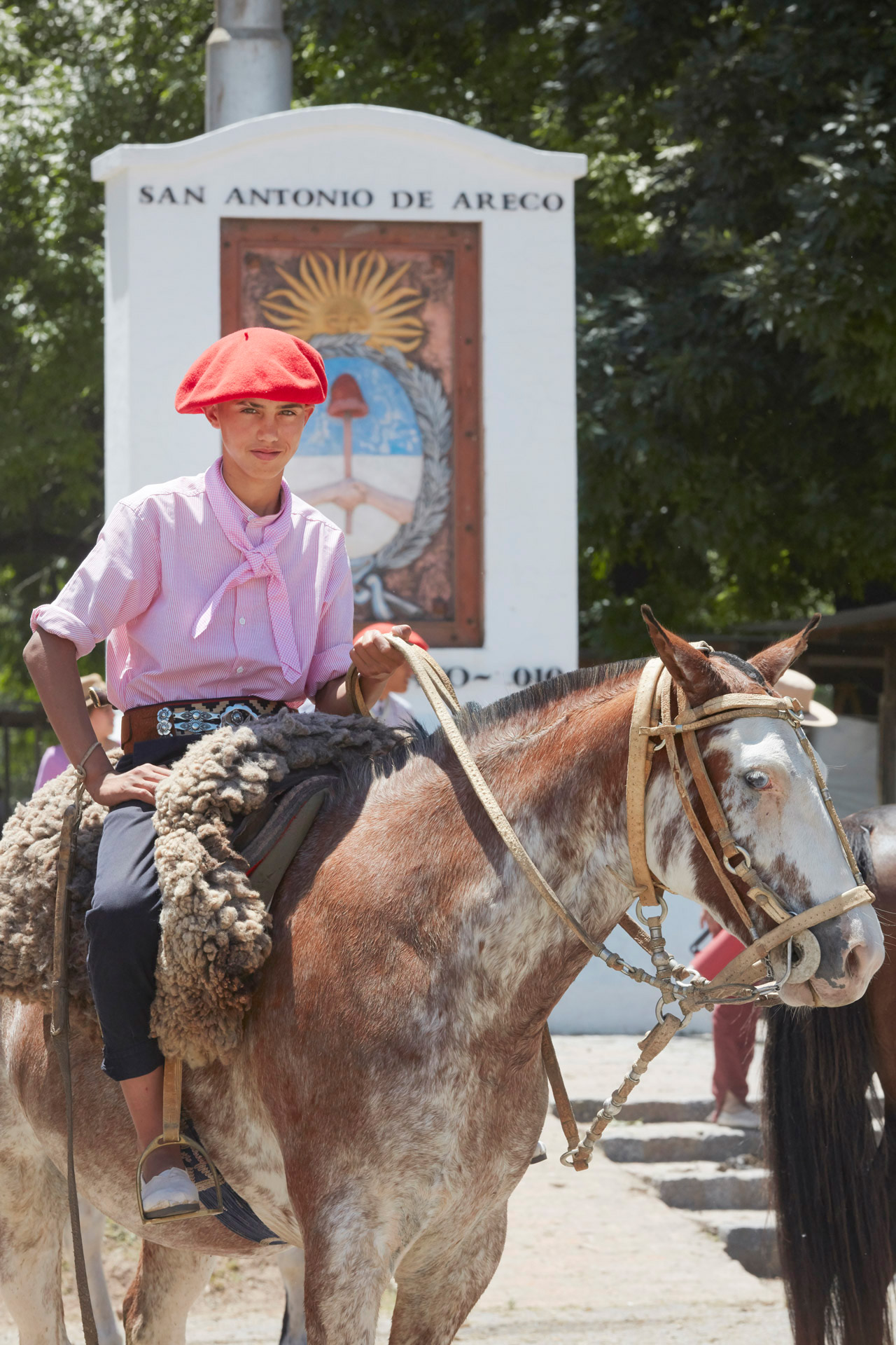 gauchos fiesta 3>
														<!--div class=