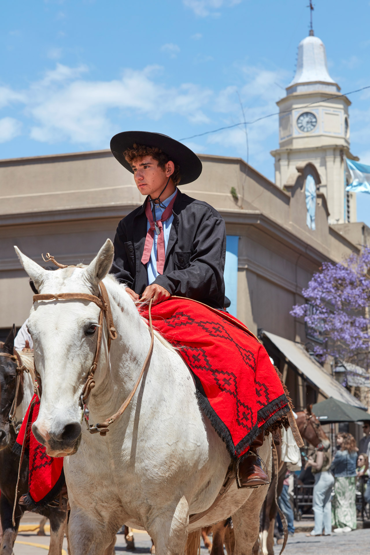 gauchos fiesta 8>
														<!--div class=