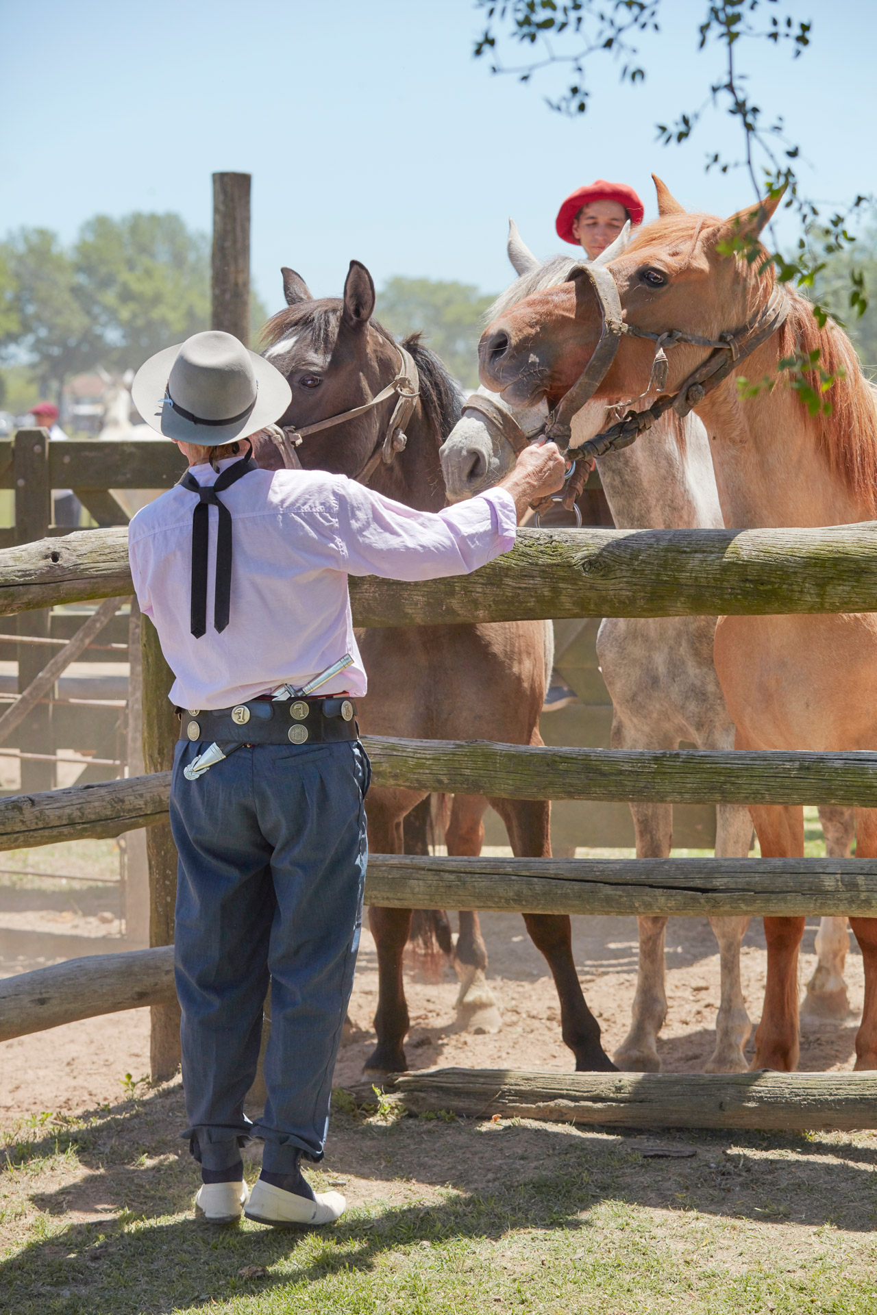 gauchos fiesta 9>
														<!--div class=