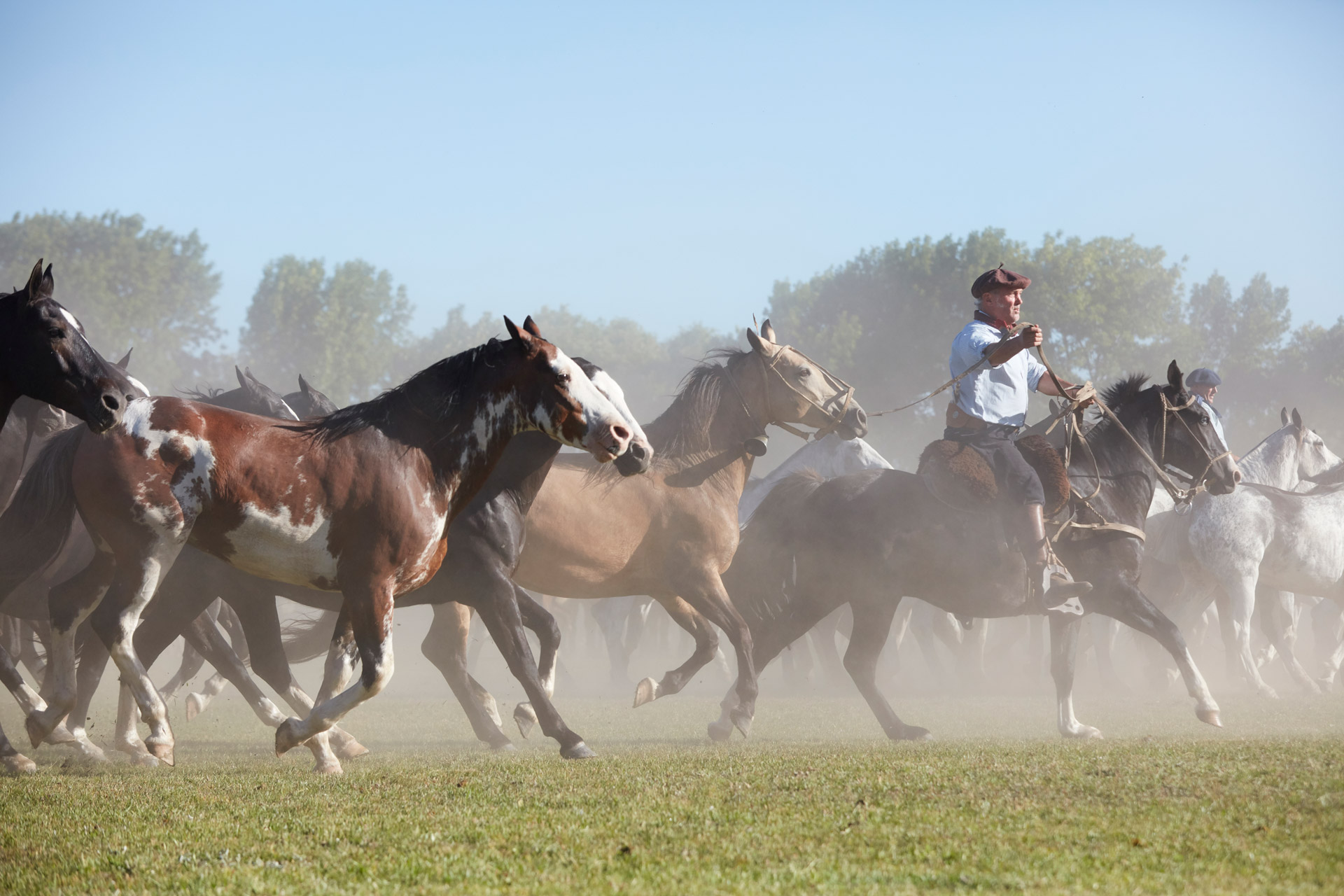 gauchos fiesta 10>
														<!--div class=